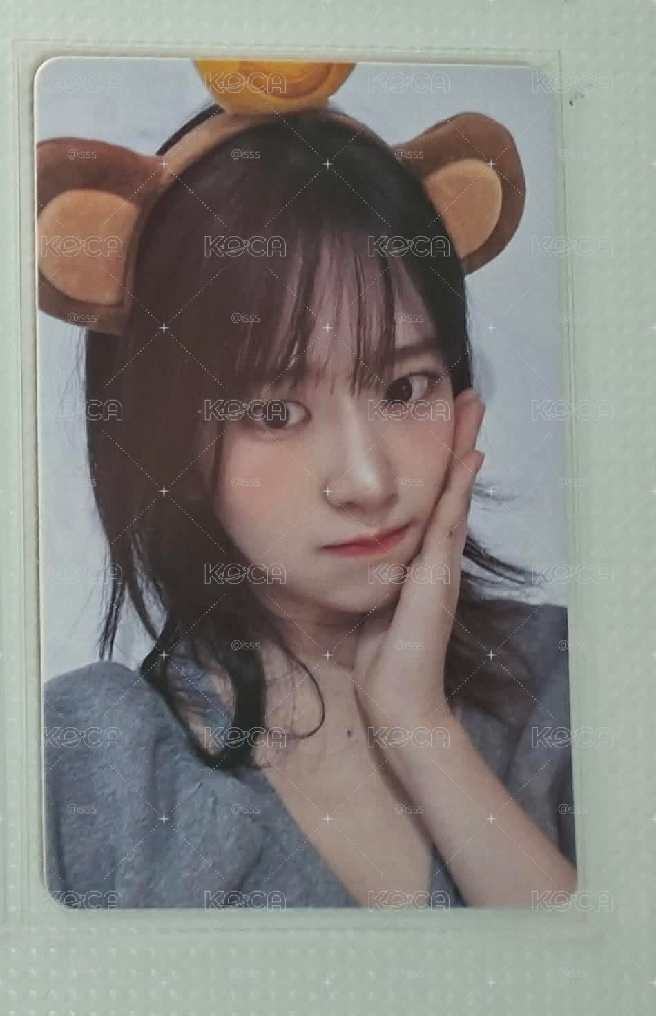 超萌的狗狗安啊