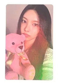 wvs預售