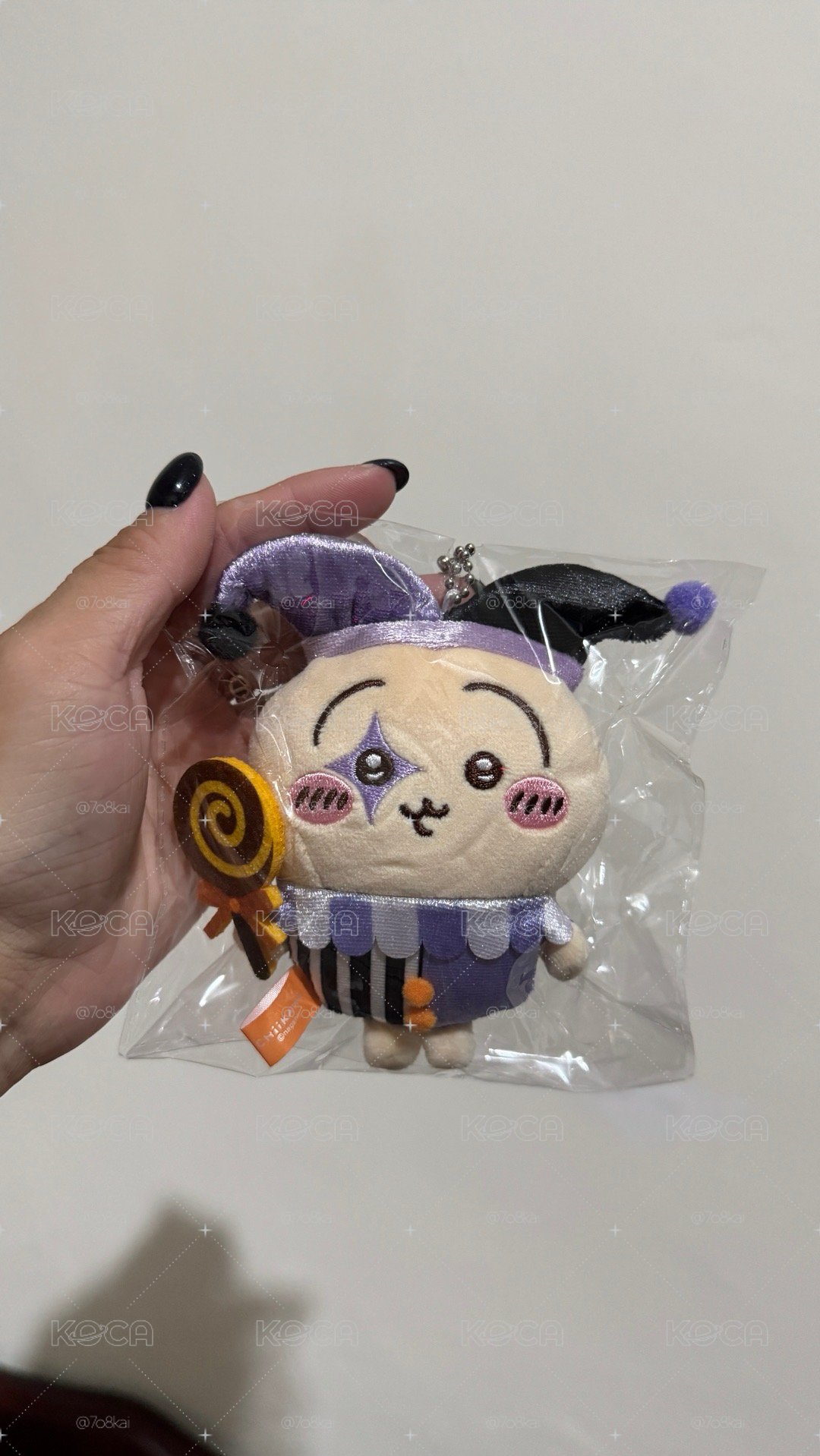 馬戲團兔