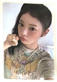 動物專卡