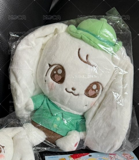 現貨 員瑛愛寶01大娃