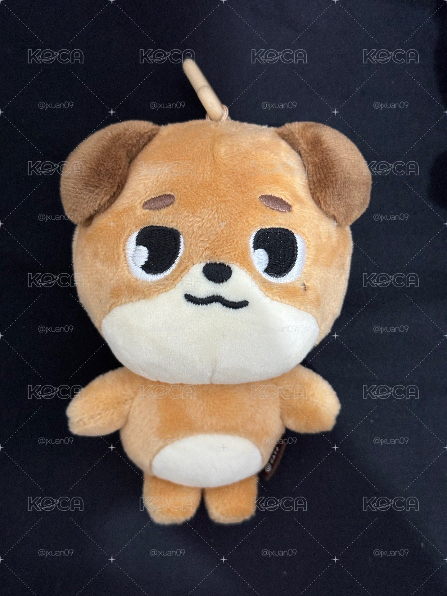 🐶曬黑（全新）、10公分、24年代娃