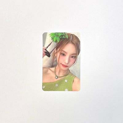 itzy | 椰子樹志
