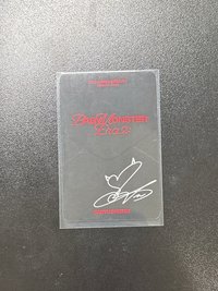 二週年回憶紀念寫真 專輯卡 D ver.