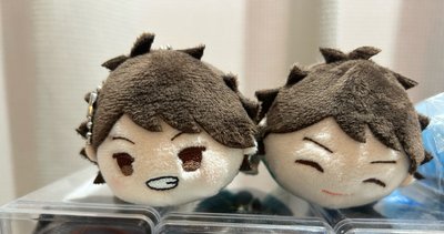 排球少年_及川羽織趴娃
