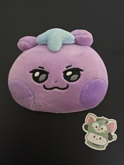 買梯子大頭