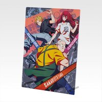 vol.2 一番賞 壓克力板 F賞