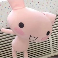 yiouzx （下單前看置頂）