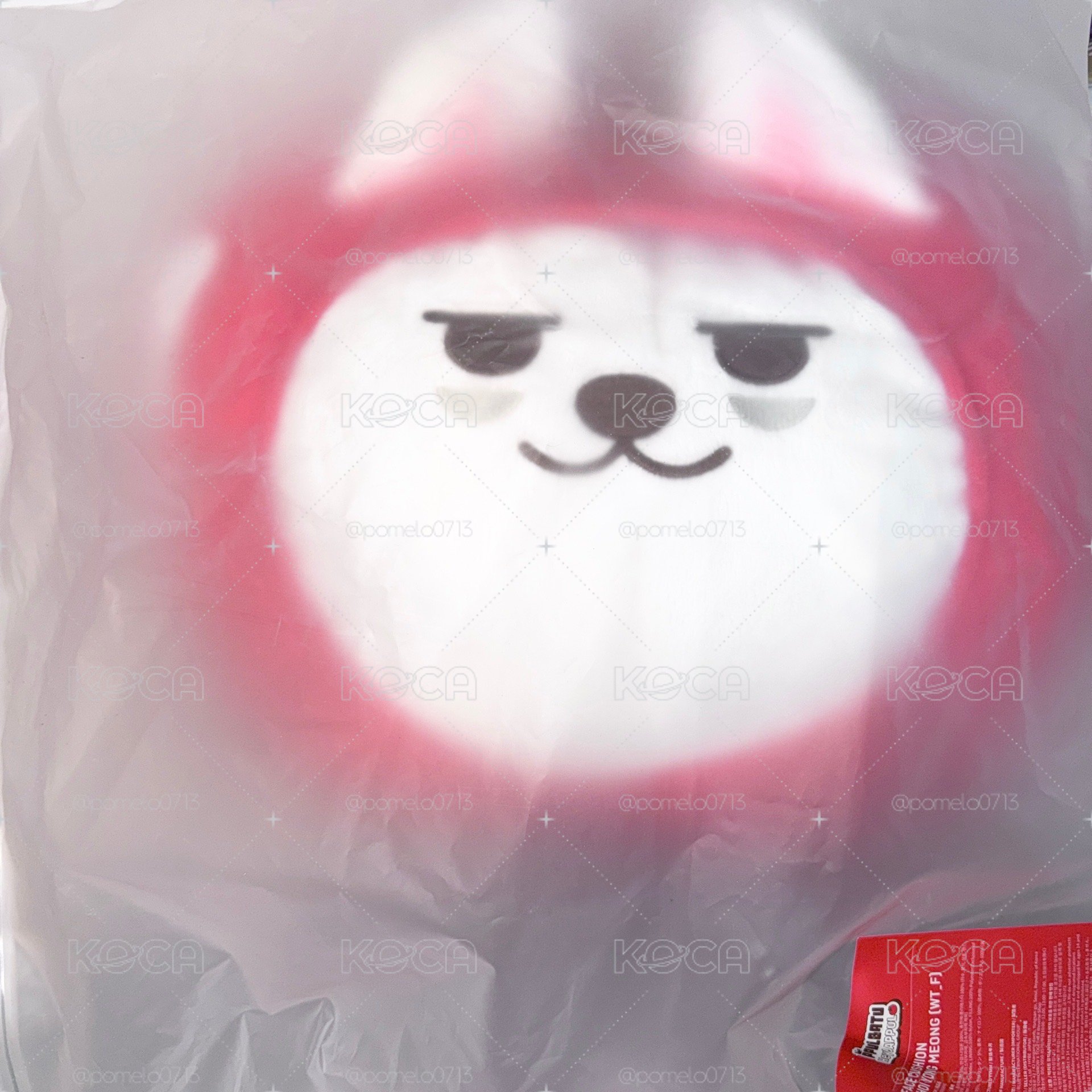 ⚪️APPUL 抱枕 崔勇猛 🍎𝙔𝙊𝙉𝙂 𝙈𝙀𝙊𝙉𝙂 ꒰ ⩌ᴥ⩌ ꒱ 