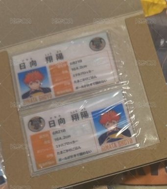 日向