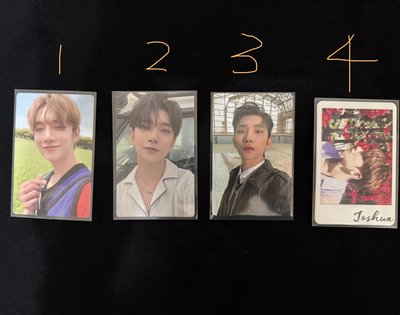 SEVENTEEN 💎Joshua區