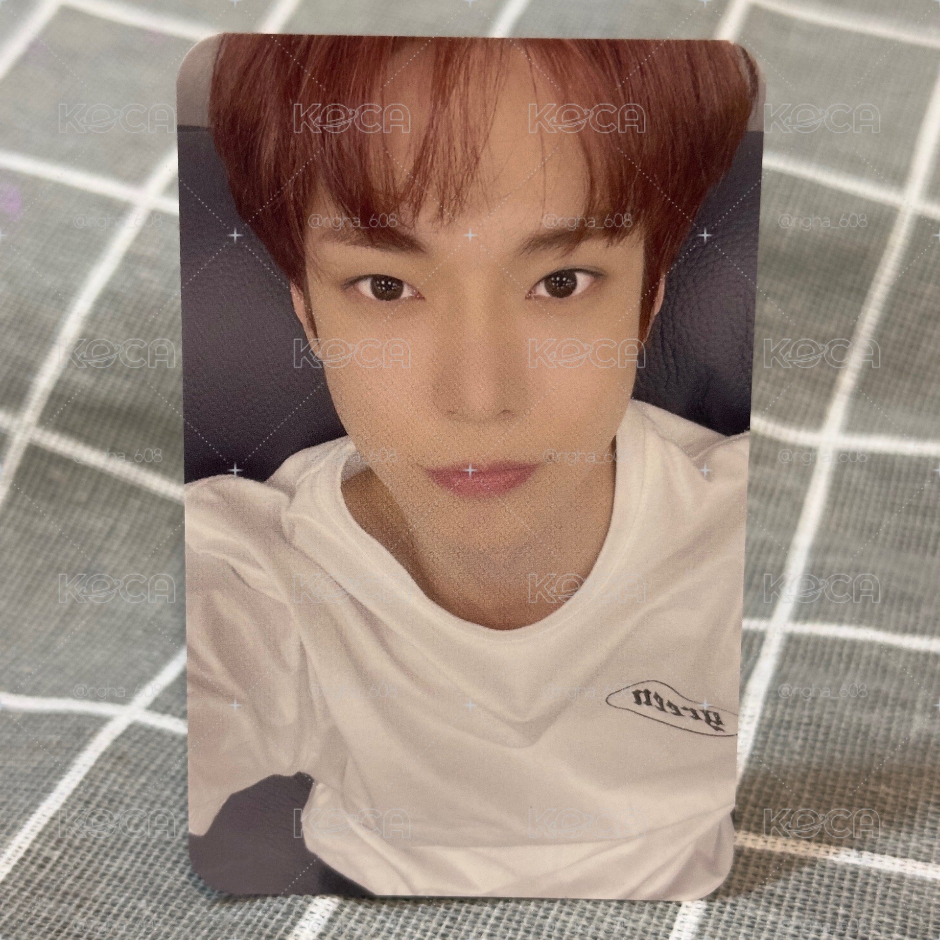 NCT127 Favorite mumo 特典卡 道英