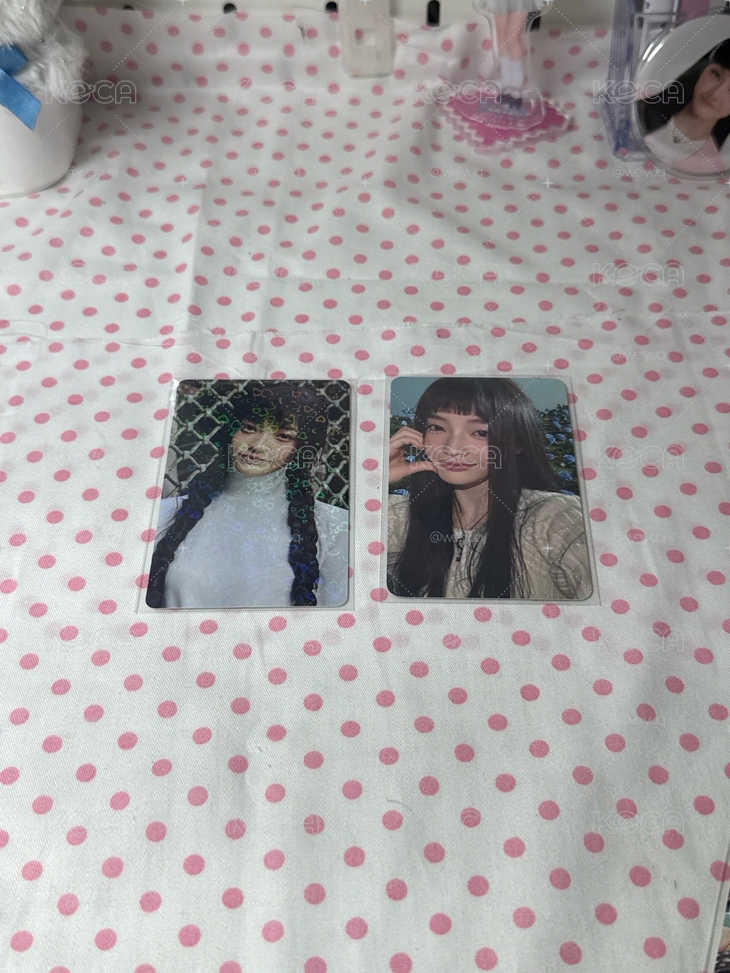 彩羽不再可愛TO簽+2綁（圖鑑）