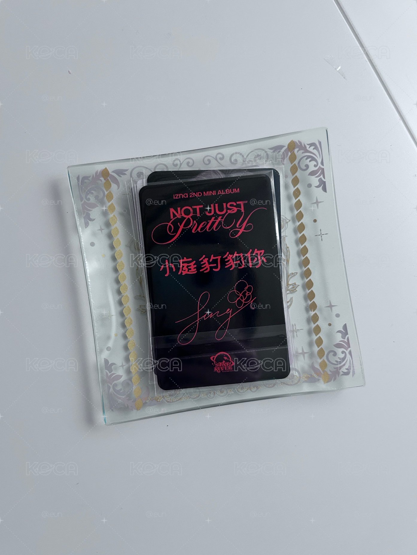 sr中背庭