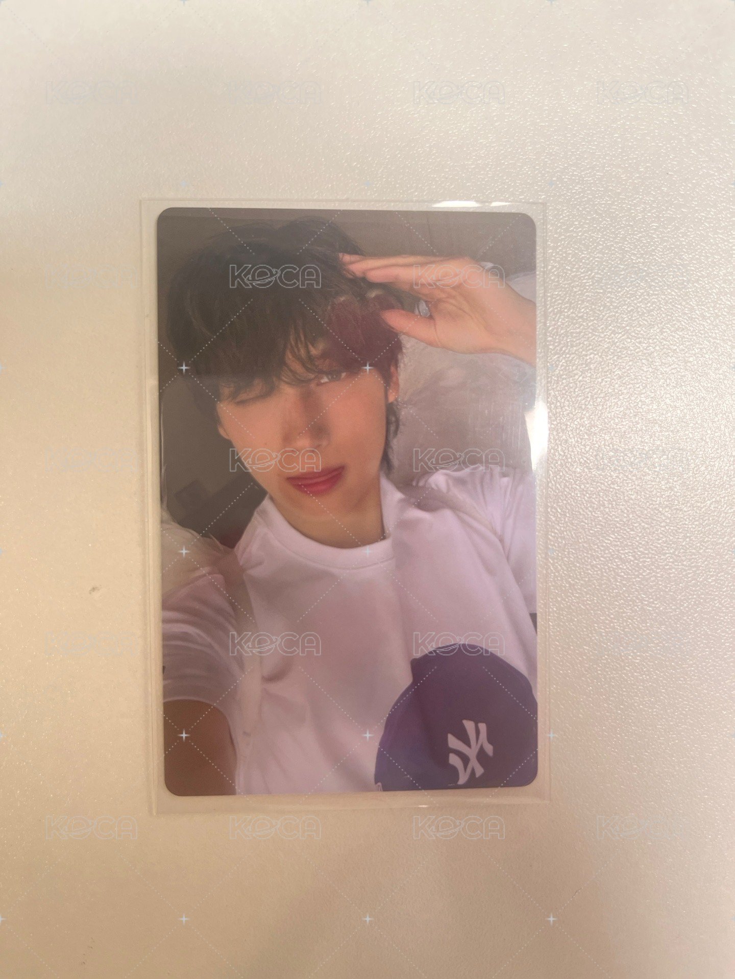 小狗凱