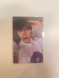 小狗凱