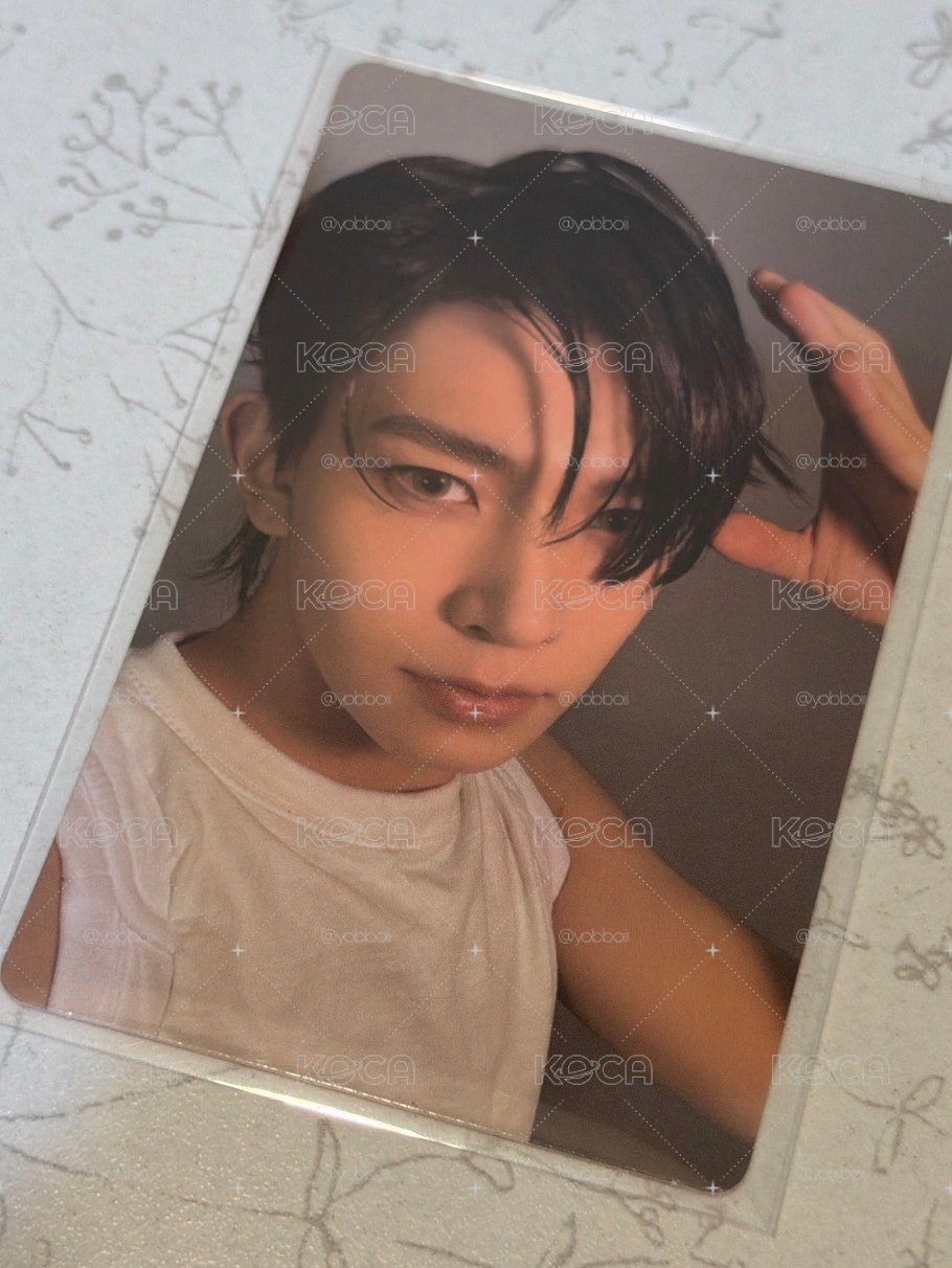 小狗羲