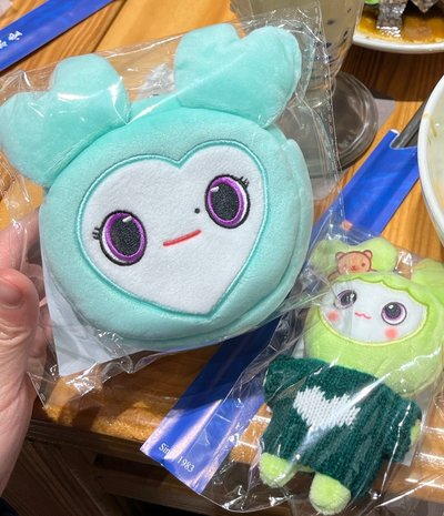 TWICE六巡 台北快閃店 零錢包 娜紗南