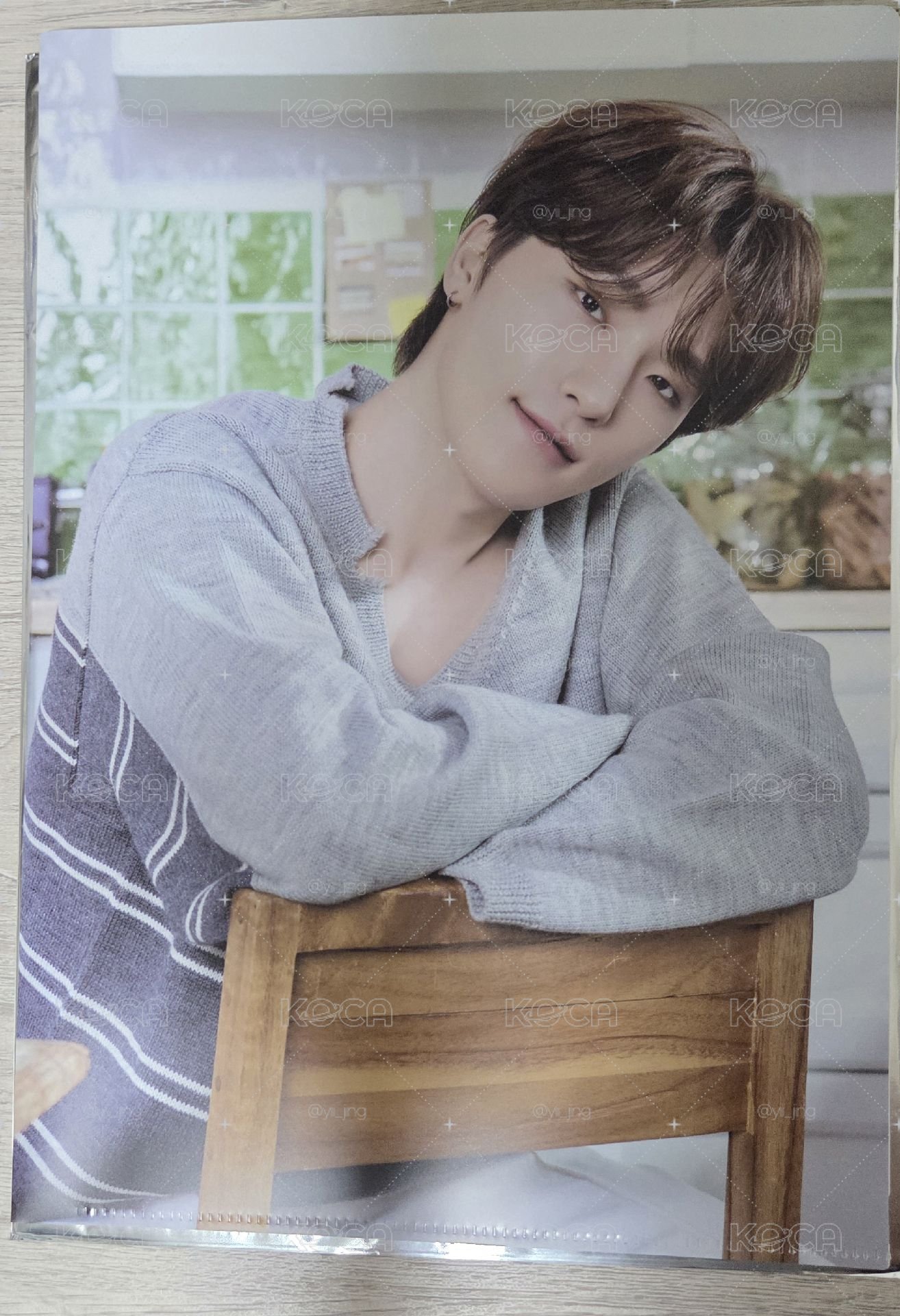 Seventeen Home 資料夾 DINO