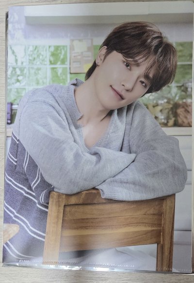 Seventeen Home 資料夾 DINO