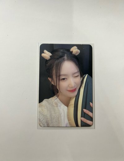倉鼠刷
