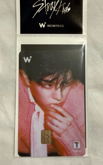 Stray kids Do it wowpass card Seungmin 昇玟