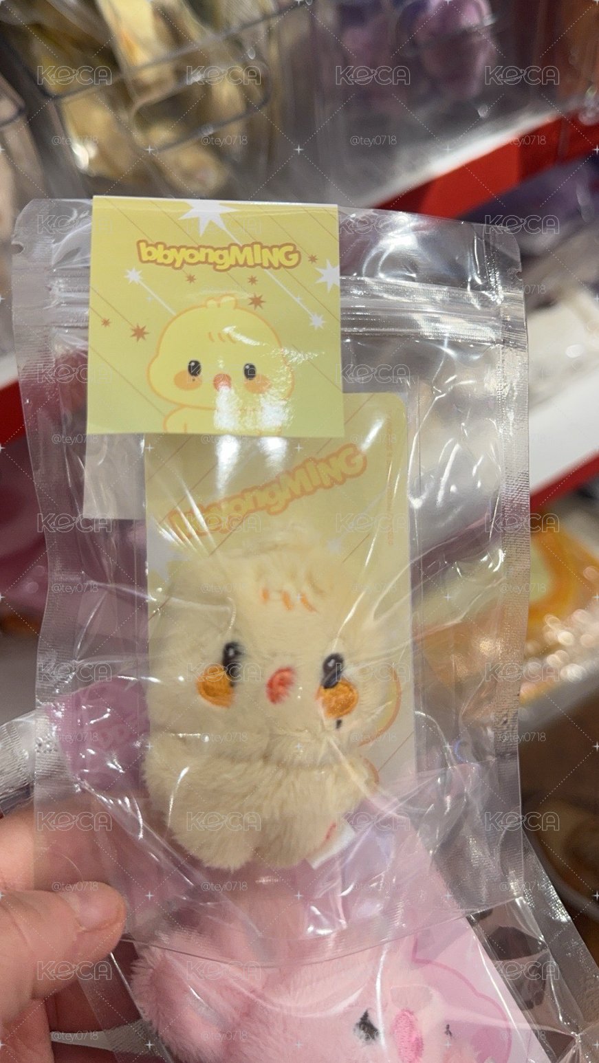 ANITEEZ 迷你娃 蹦旼🐥