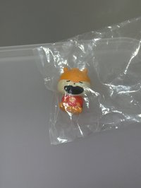 小鼠