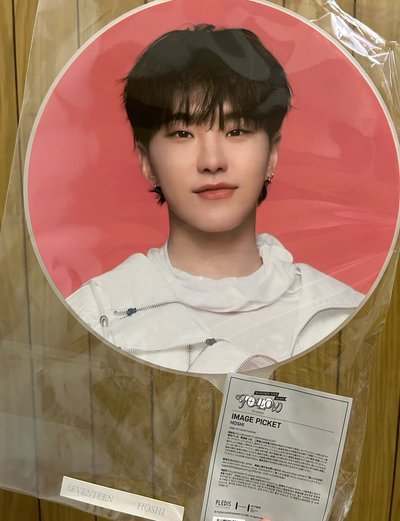 Follow Again Hoshi 大扇