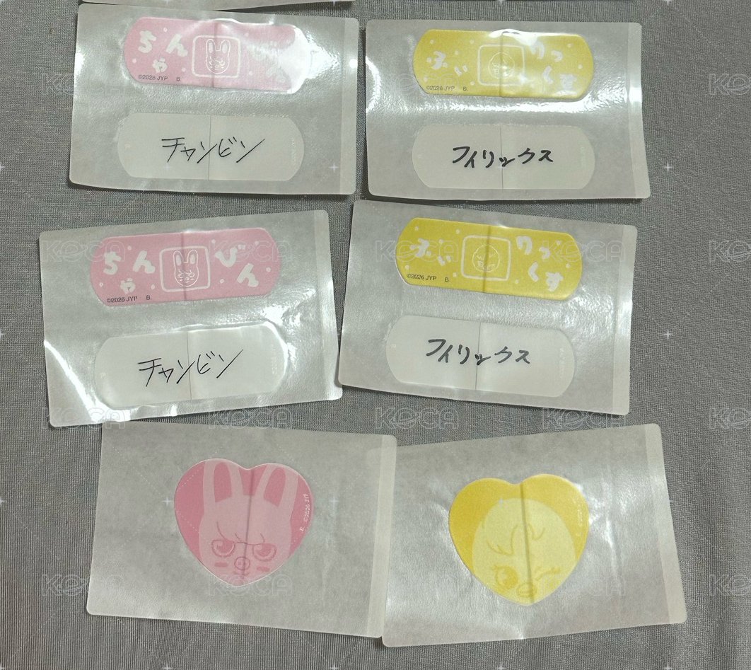 彬+菲組合