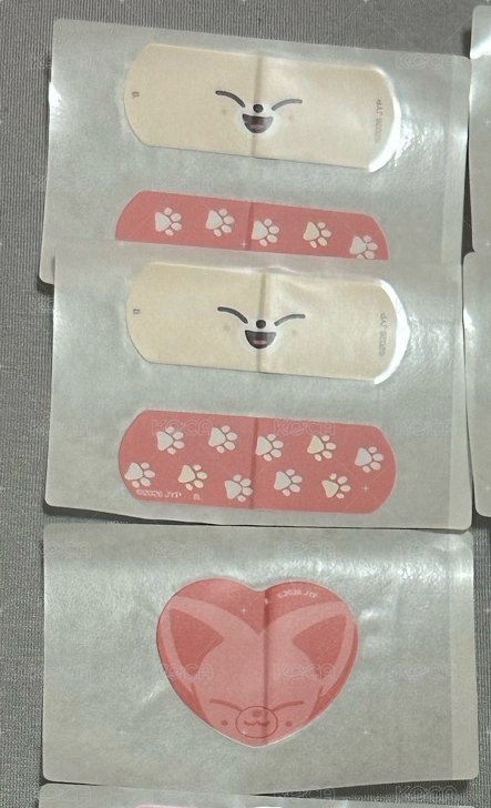 寅