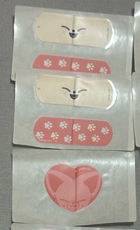 寅