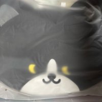 雲貓扇套