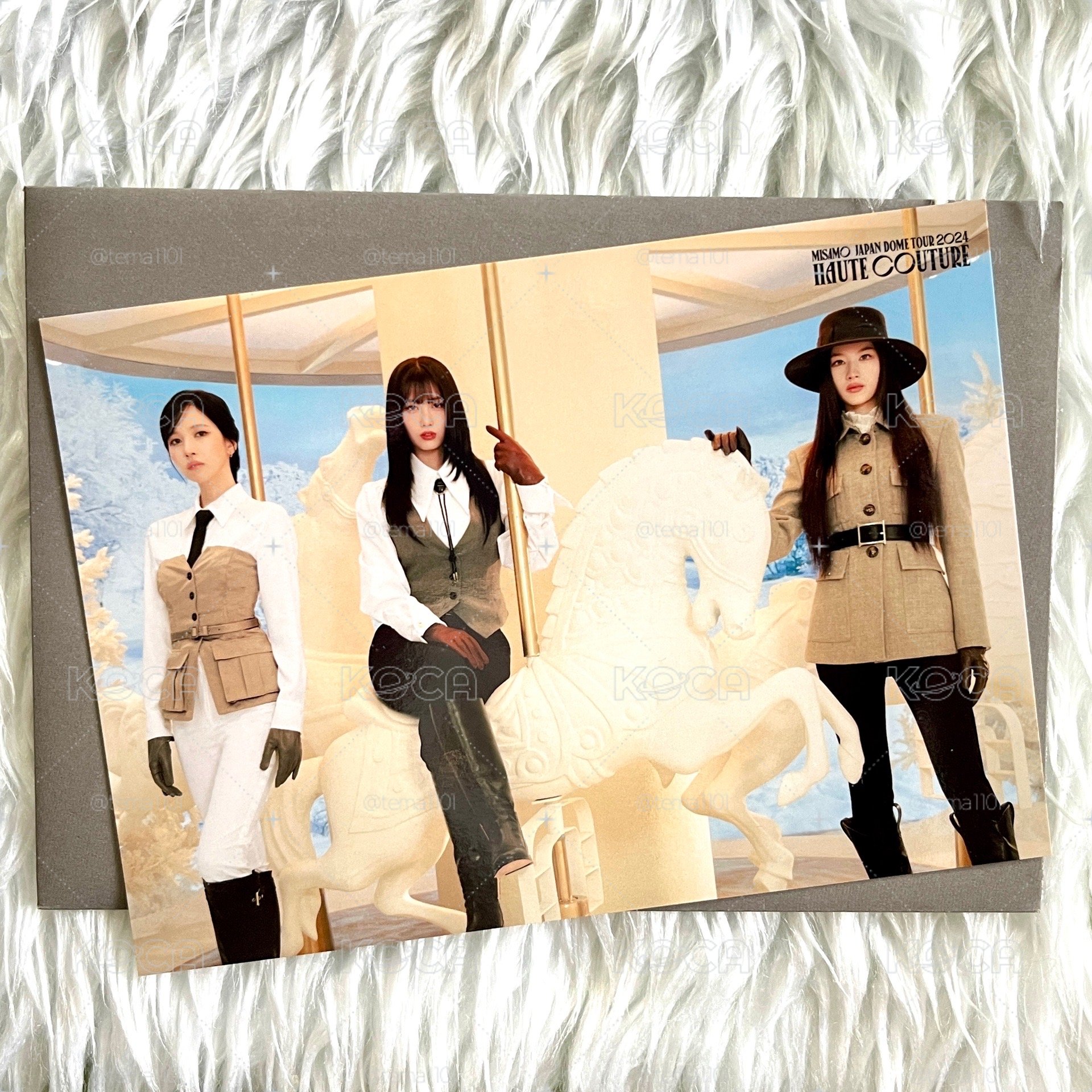Search image
