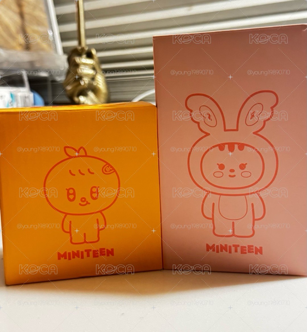 ⚡️SEVENTEEN Miniteen 小夜燈 尹淨漢 夫勝寛