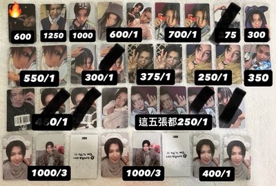 忙忙露露尋寶藏