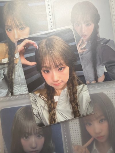 狗耳庭