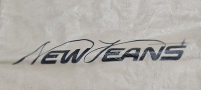 【有含小卡】NewJeans 會員禮 一期 瘦身窄盒版 BUNNIES CLUB 2023 (內容物完整無缺件)