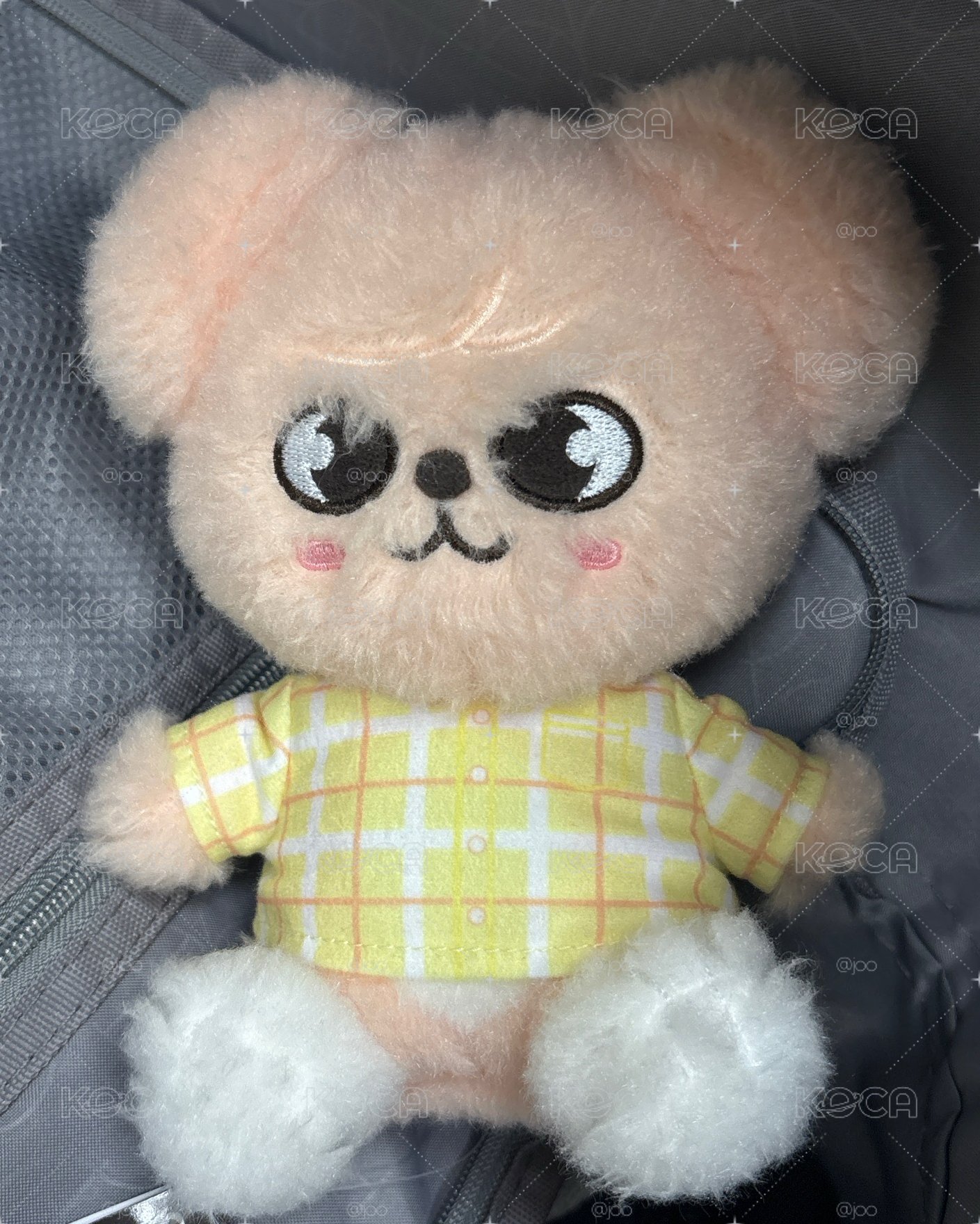 坐姿小帕皮