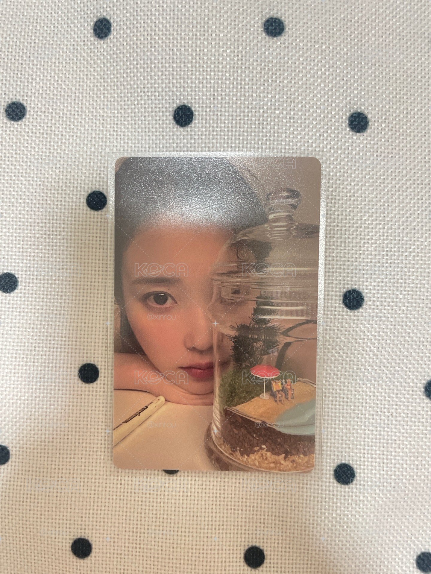 李知恩鐵盒卡