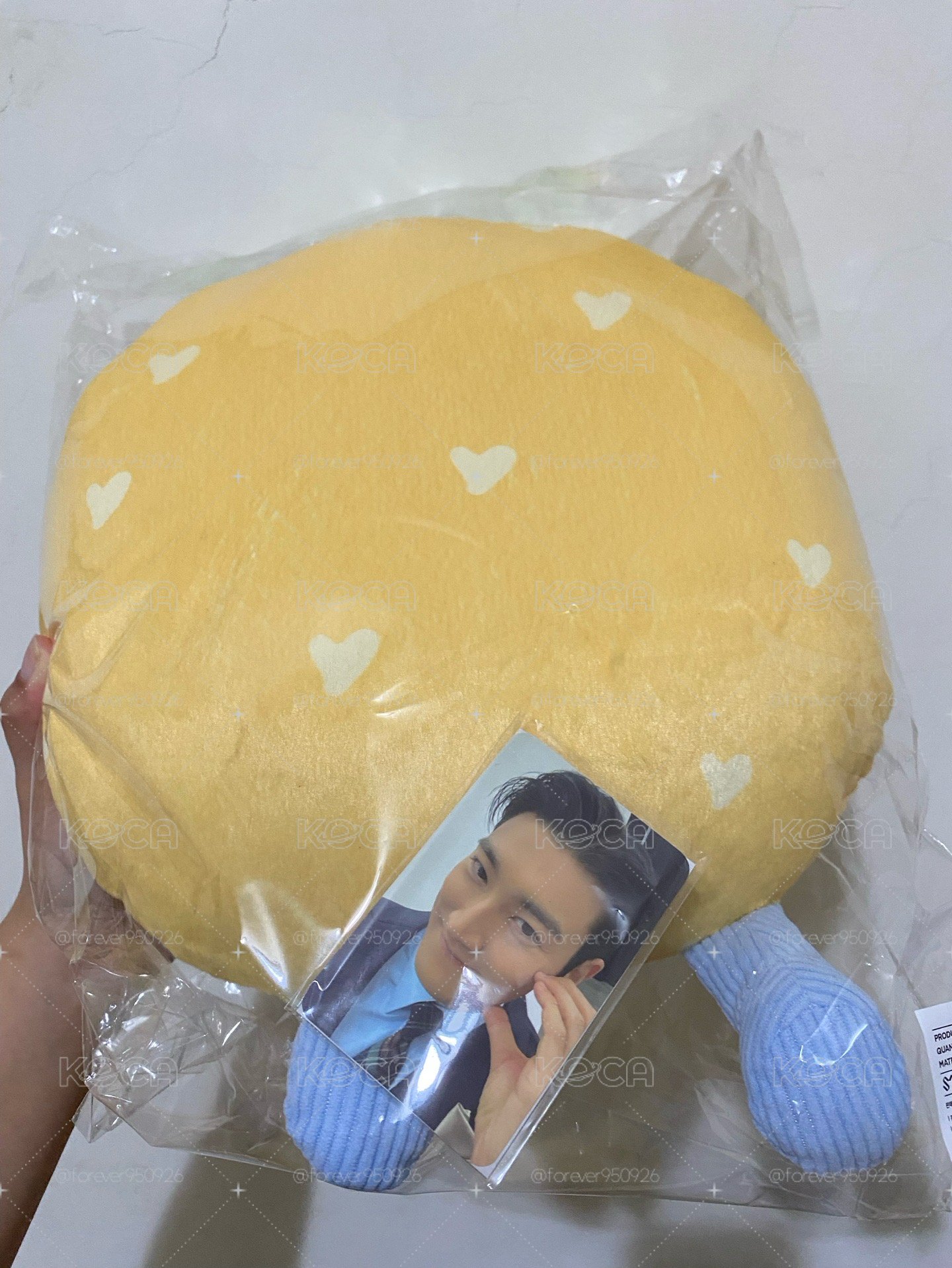 Super Junior 台灣超市抱枕 始源