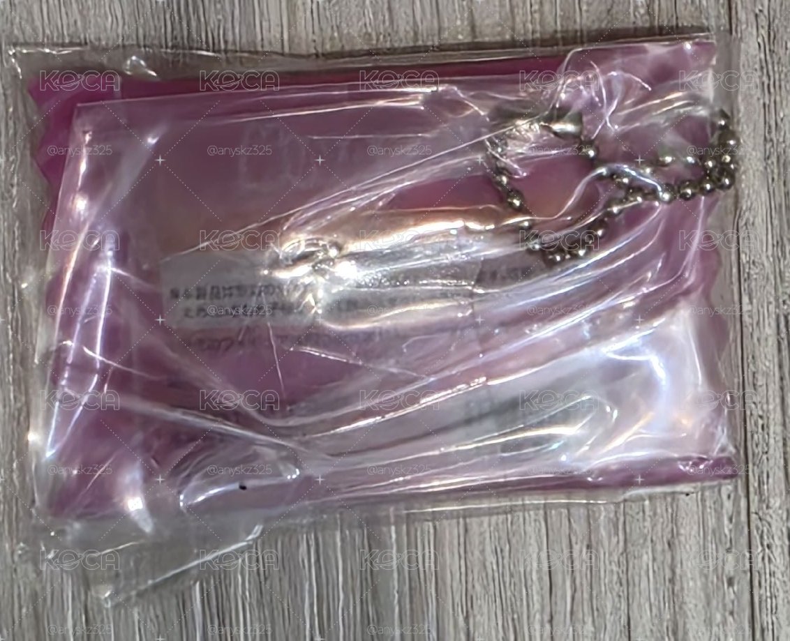 日本萬代SKZOO糖果造型吊飾鑰匙圈Dwekki豬兔彰彬Changbin