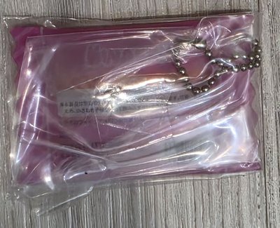 日本萬代SKZOO糖果造型吊飾鑰匙圈Dwekki豬兔彰彬Changbin