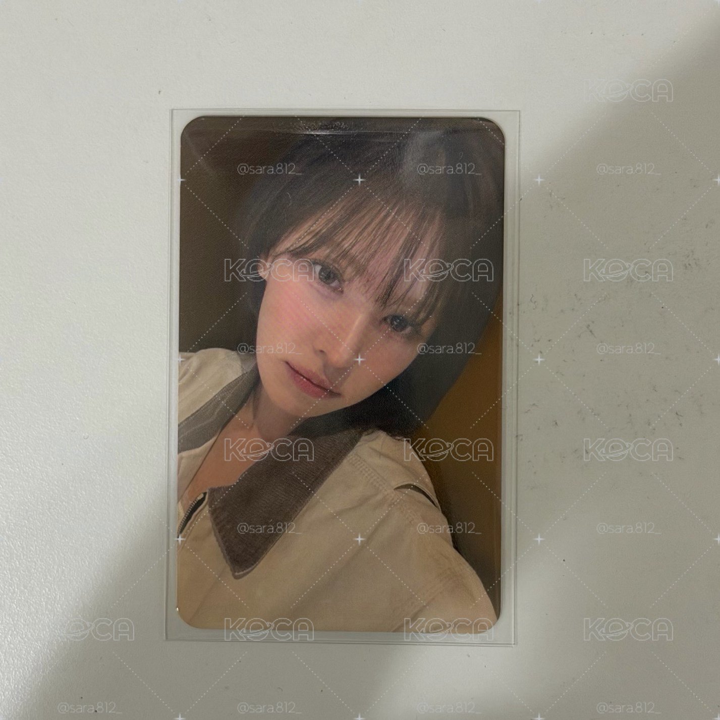 Wendy 2026高雄櫻花季
