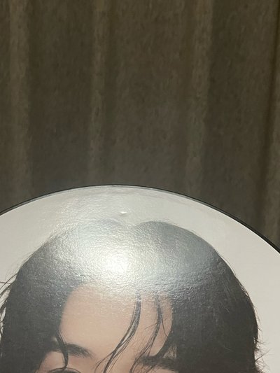 成燦大扇（微損）