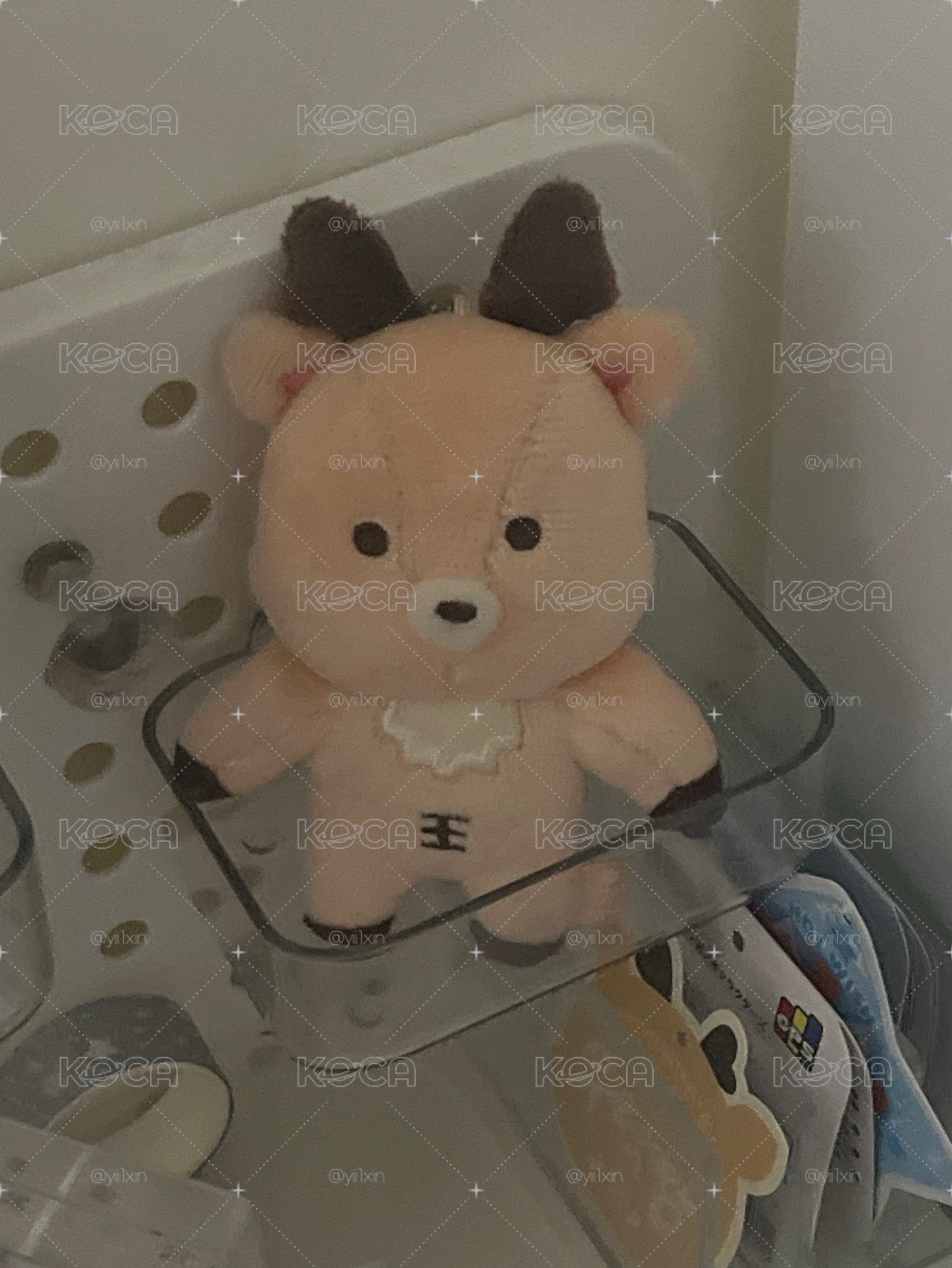 原皮烏拉鹿