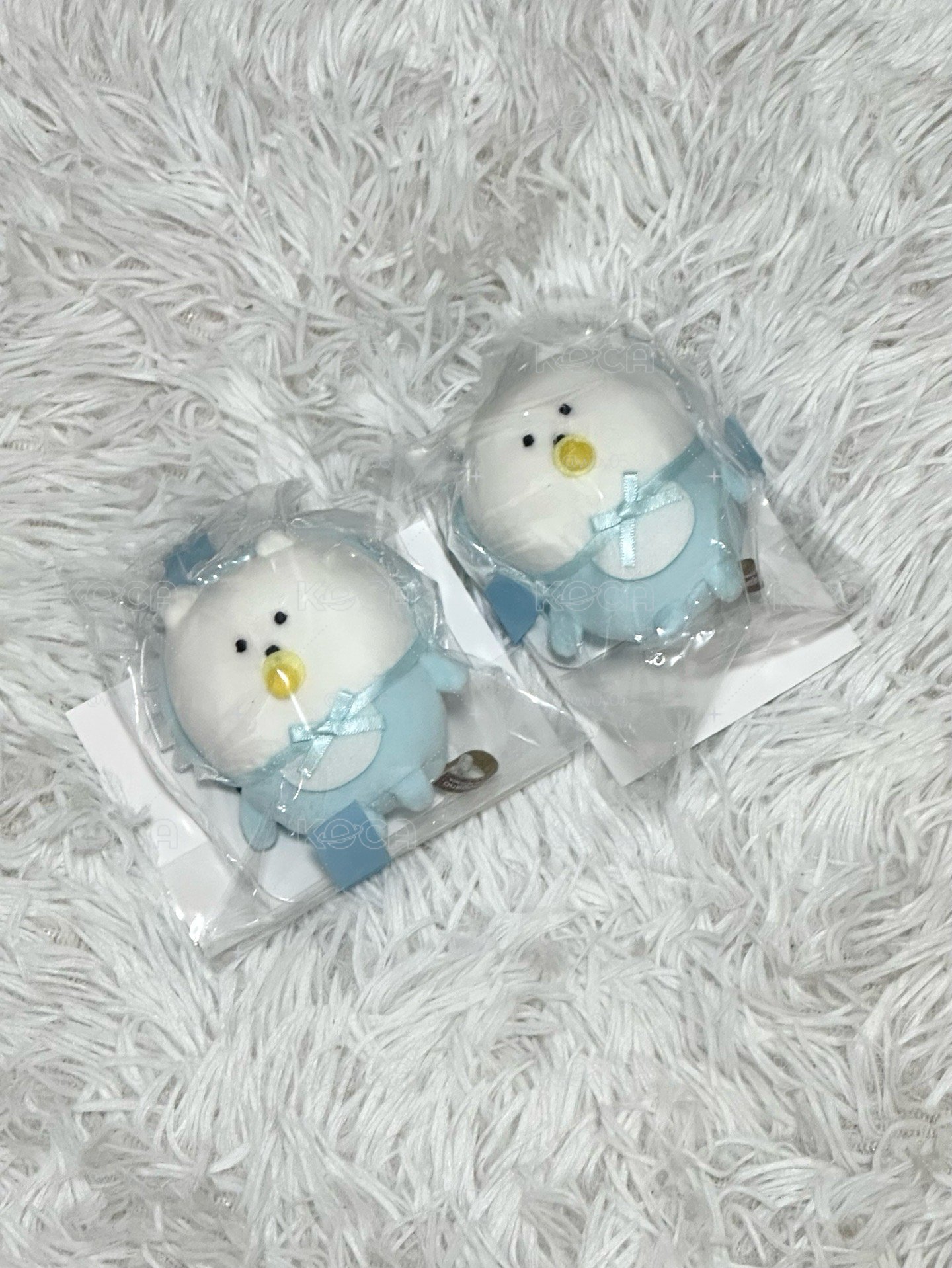 瞌睡眼寶寶熊（現貨）
