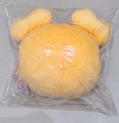 TWICE 志效 抱枕 手枕