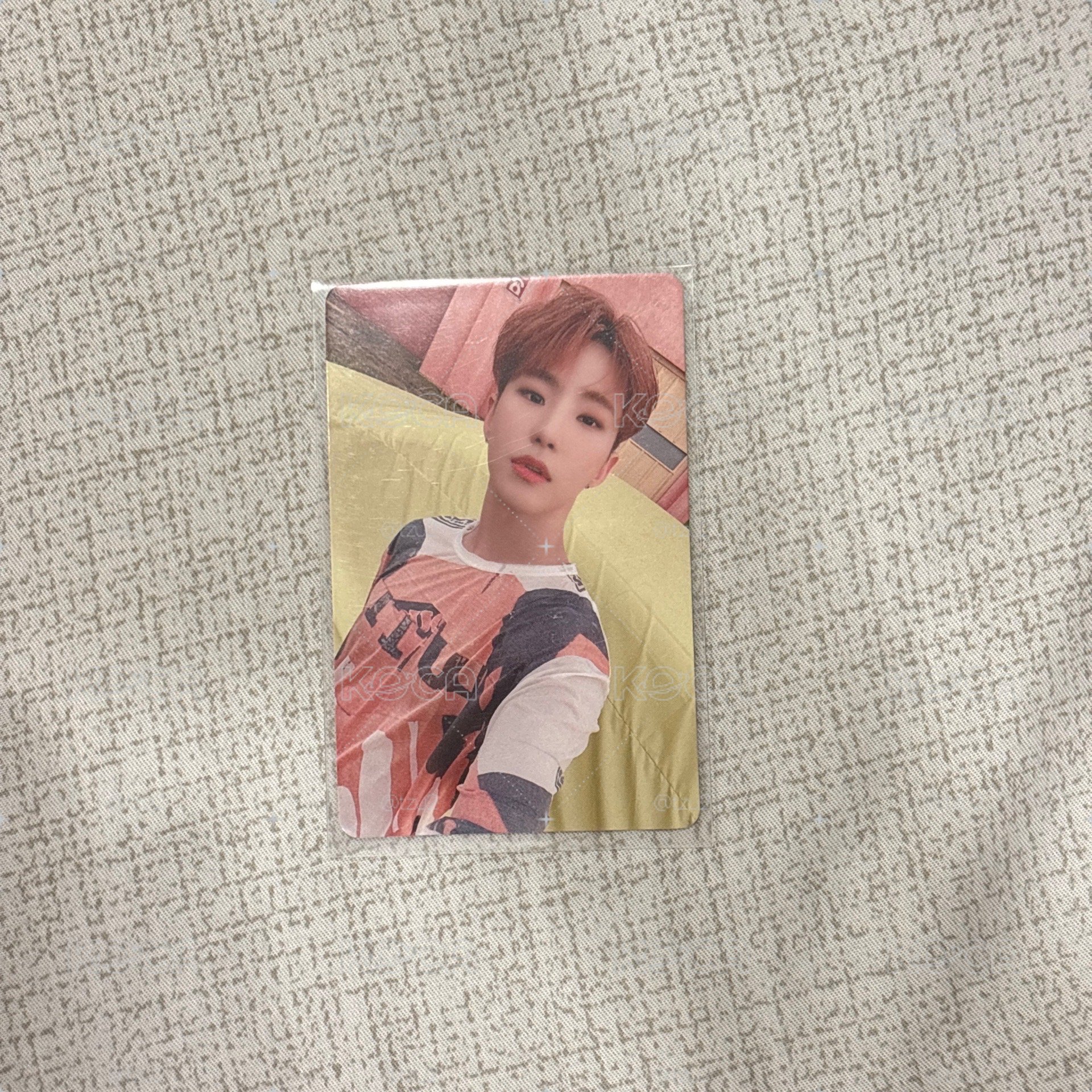 seventeen hoshi 權順榮 中文卡背 語音卡 迷八 小卡