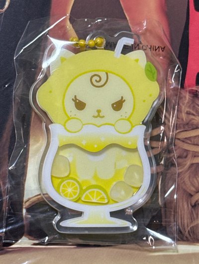 扭蛋吊飾鑰匙圈 柚 全新